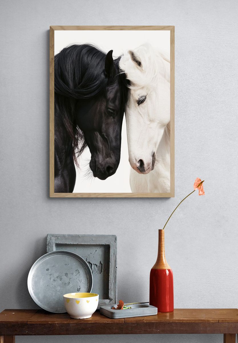 Black and White Horses Photography Poster. — room view 3