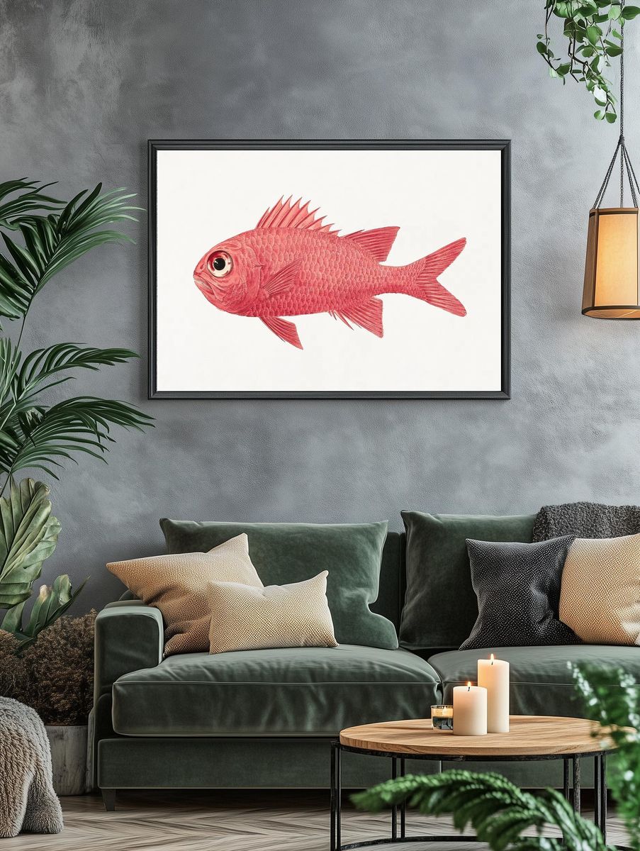 Unidentified Fish (1737–1770), vintage animal. — room view 4