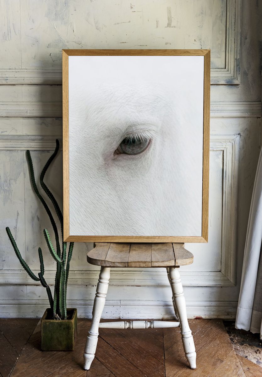 White Horse Eye Photography Poster. — room view 1