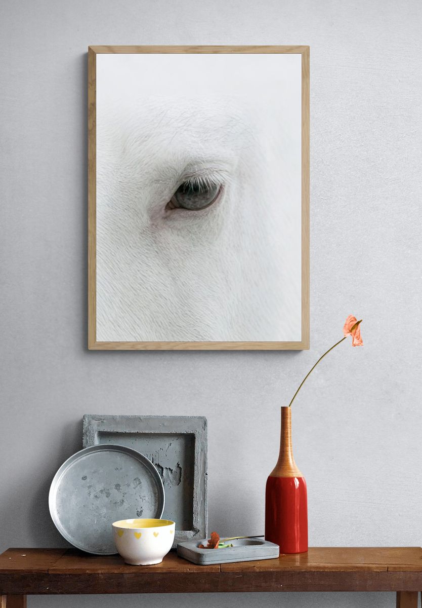 White Horse Eye Photography Poster. — room view 3