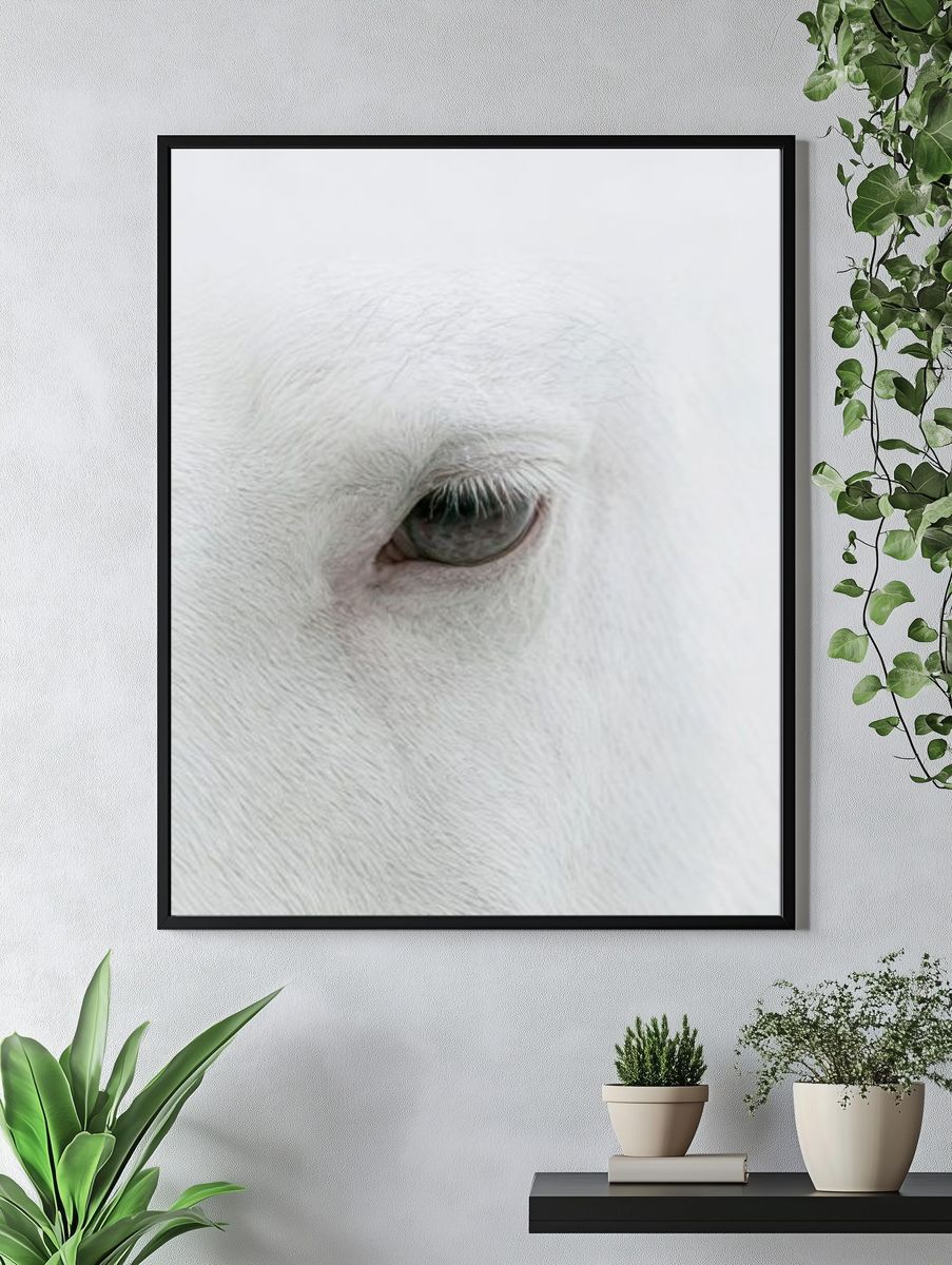 White Horse Eye Photography Poster. — room view 4