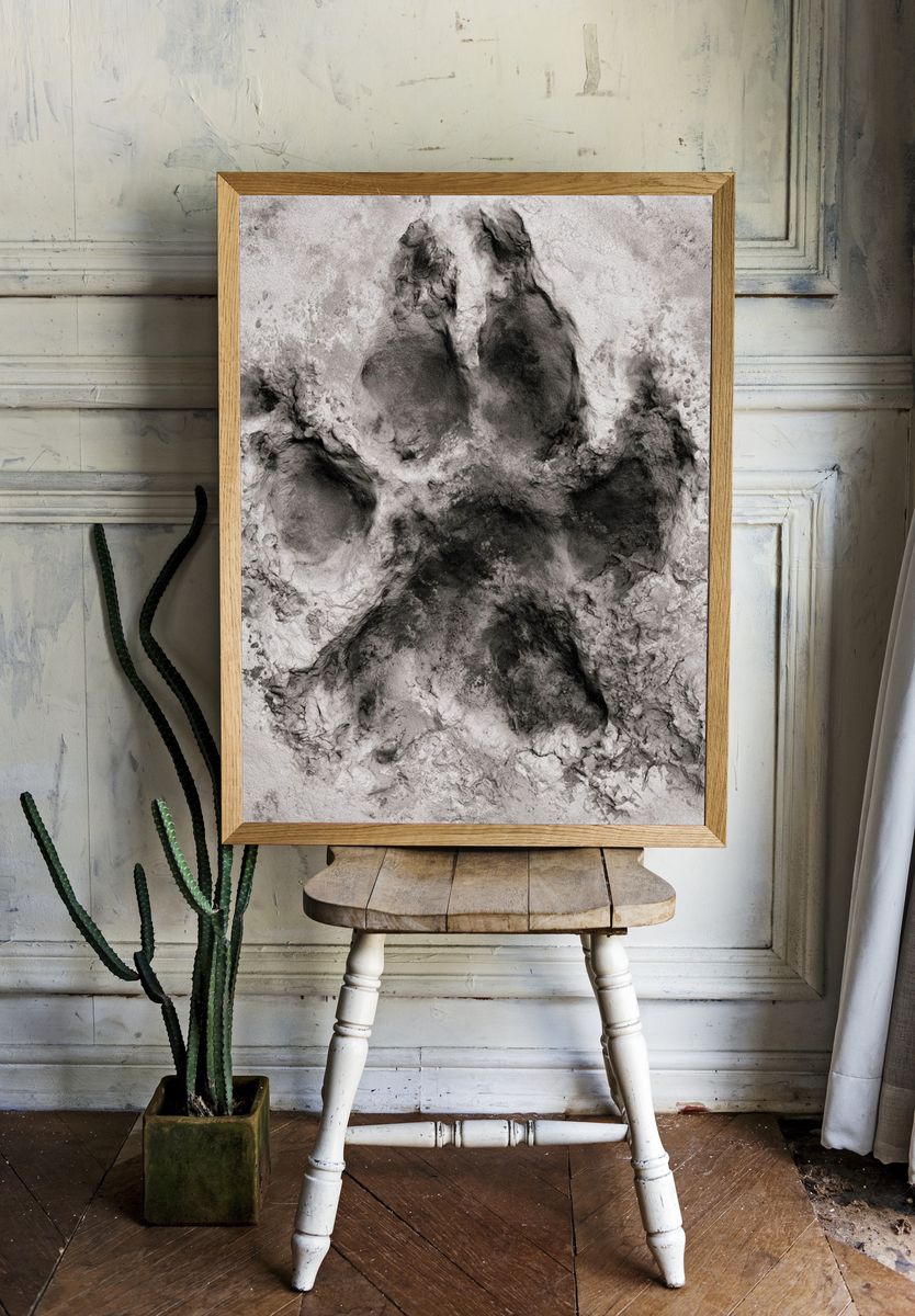 Paw Print Abstract Poster. room preview