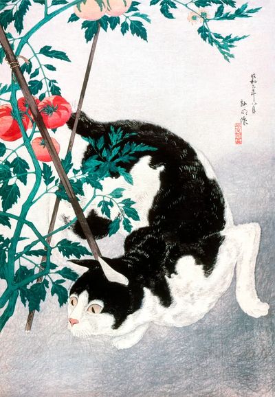 Cat Tomato Plant (1931) print. poster print