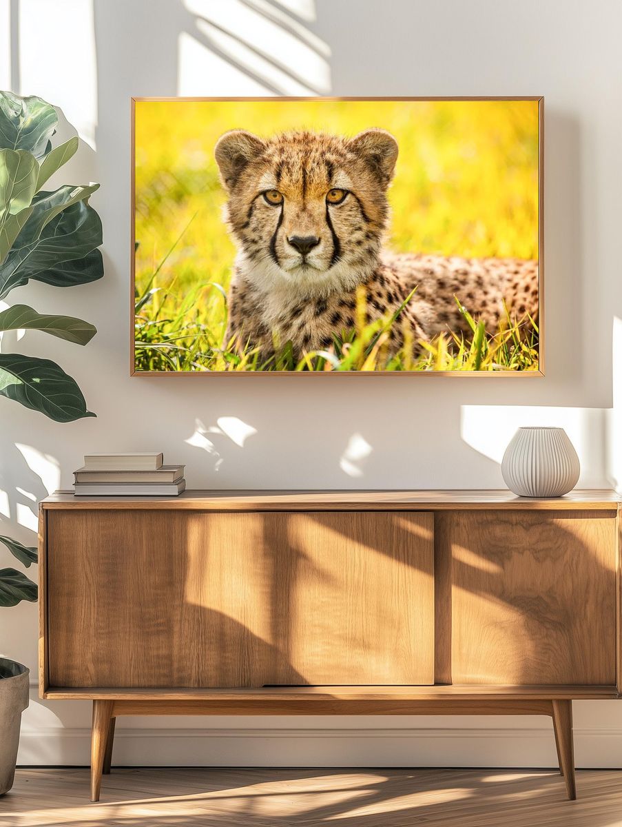 Cheetah (2014) Ronda Gregorio. Original. — room view 3