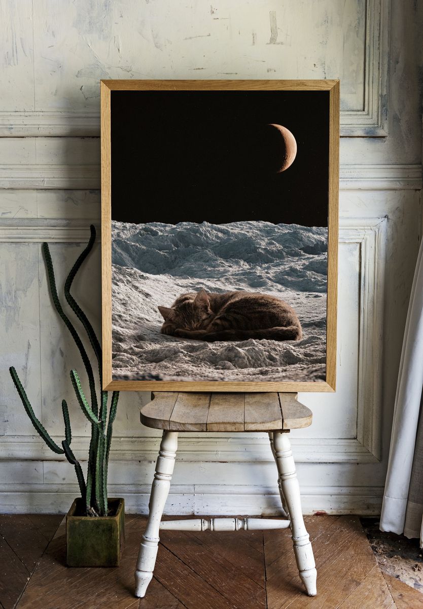Sleeping Cat on Moon — Surreal Print. — room view 1