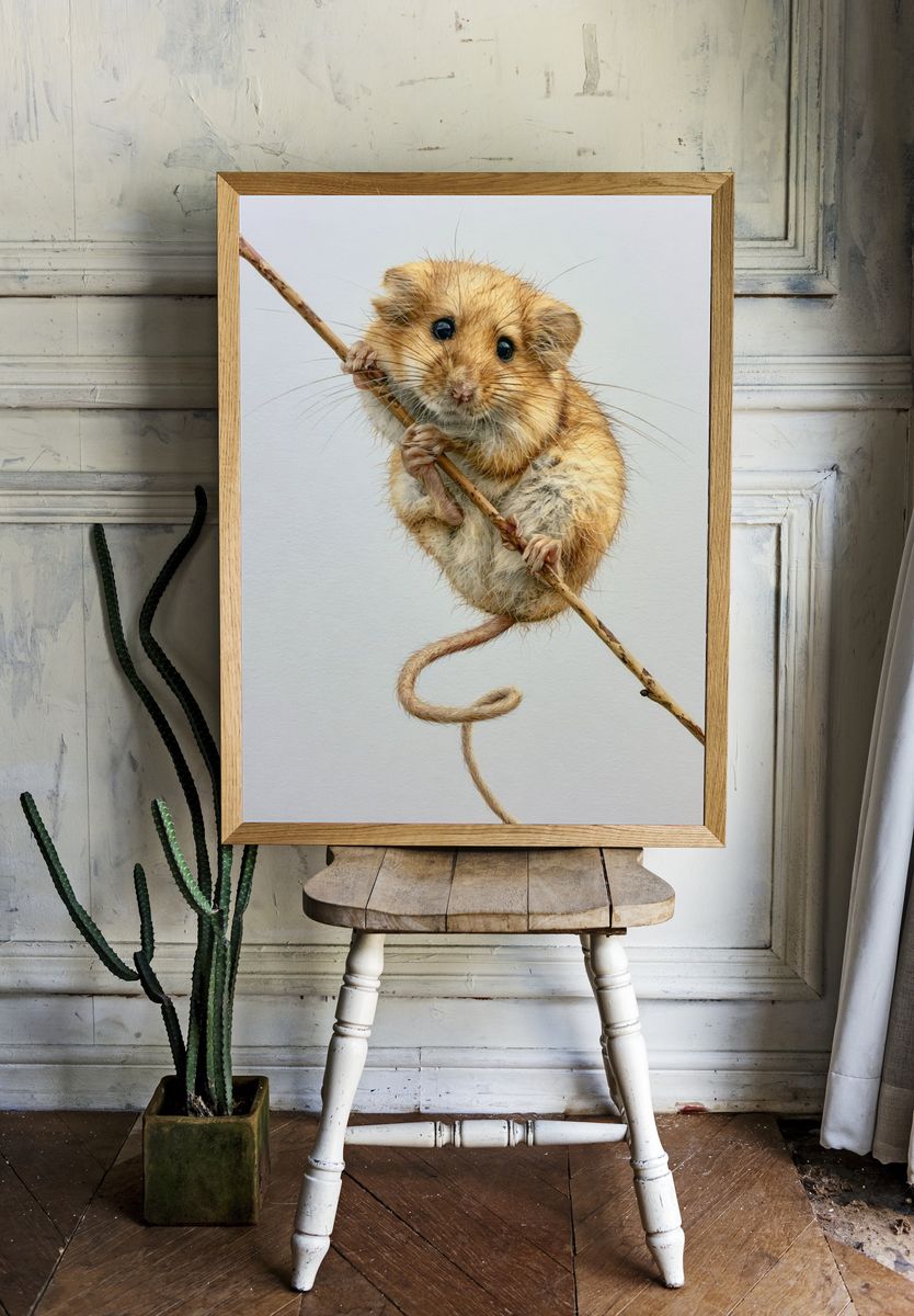 Mouse on Branch Illustration Poster. room preview