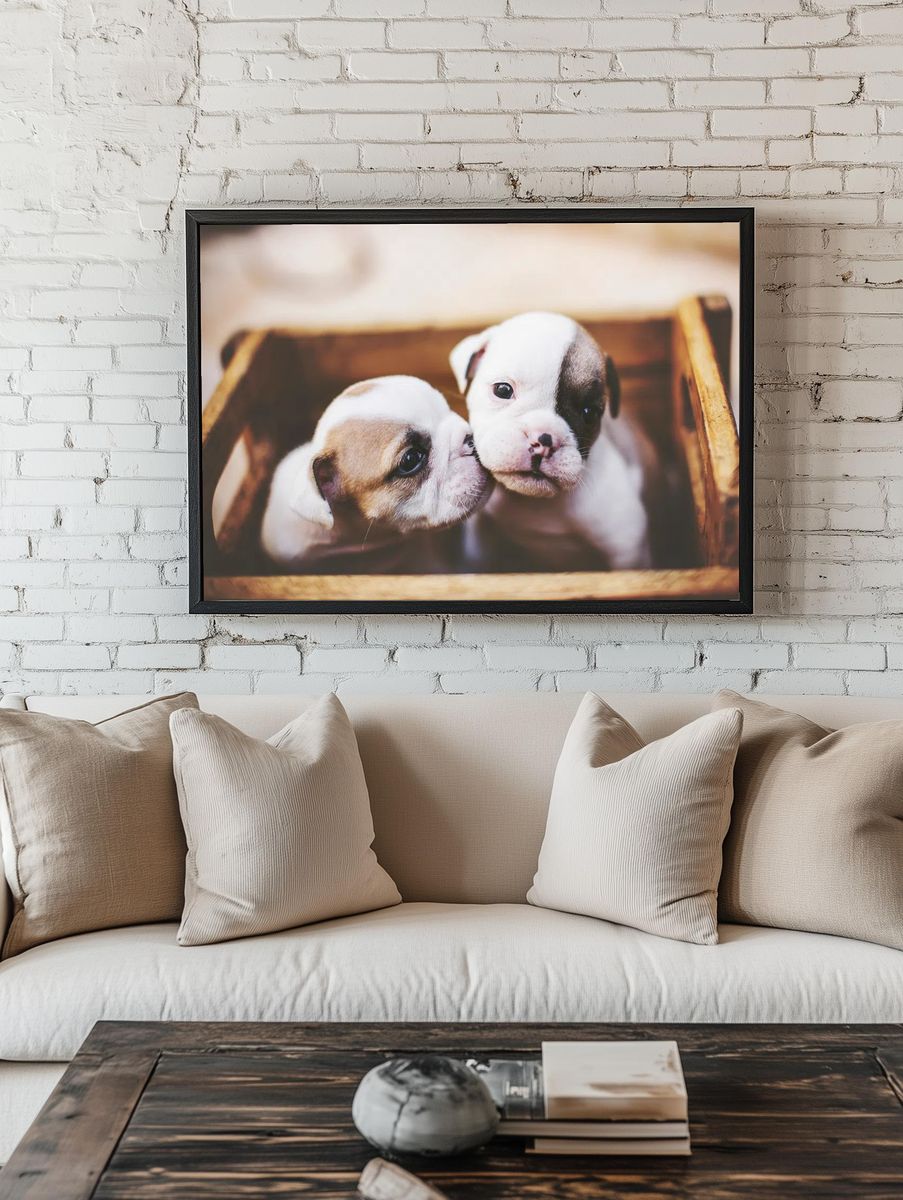 Puppy Cuddle Photography Poster. — room view 1