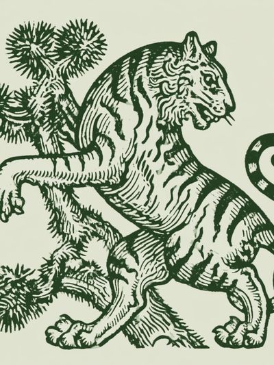 Tiger Botanical Print Poster.