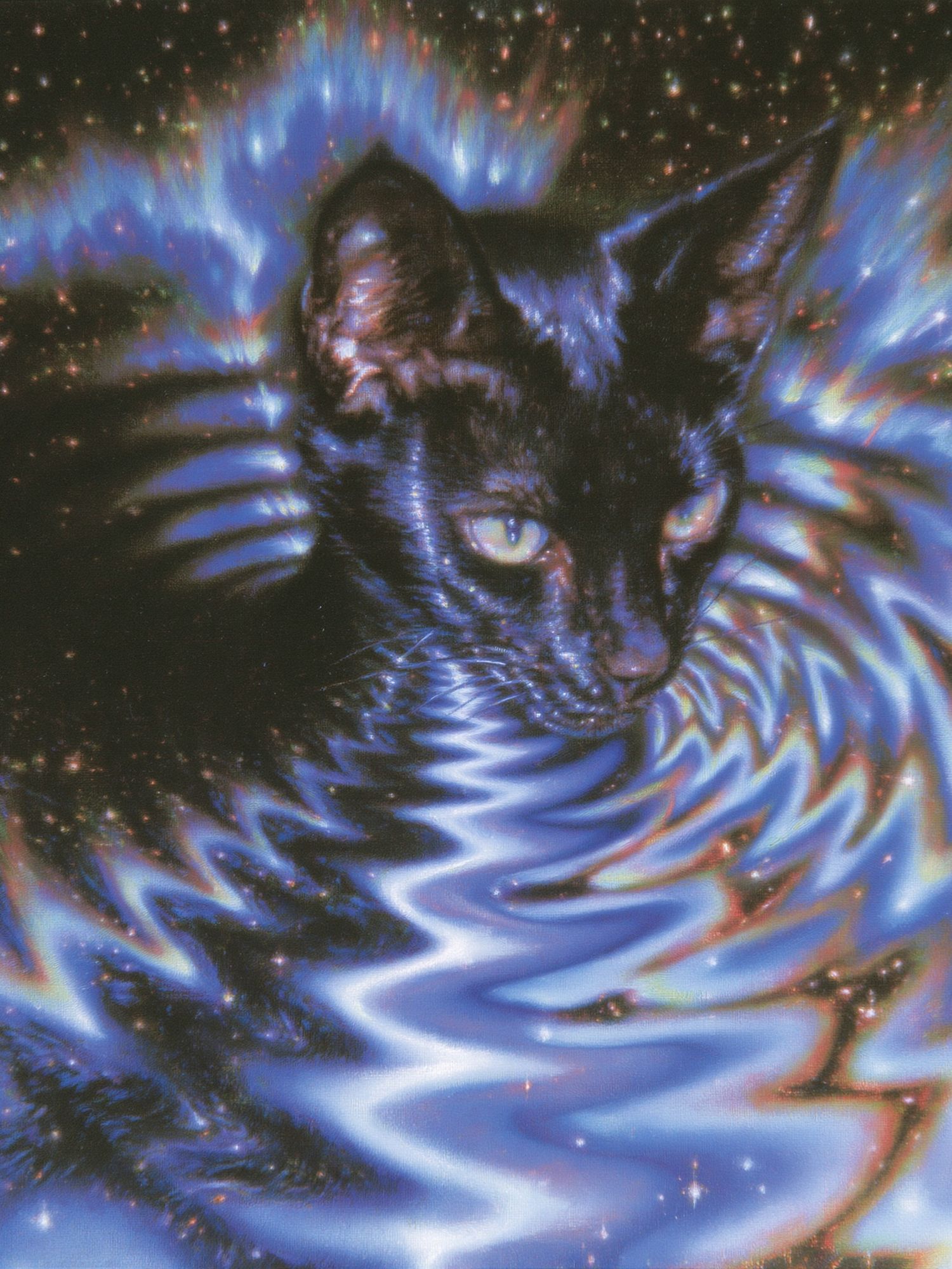 Cosmic Cat Digital Art Poster. poster — animals art