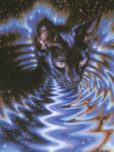 Cosmic Cat Digital Art Poster.