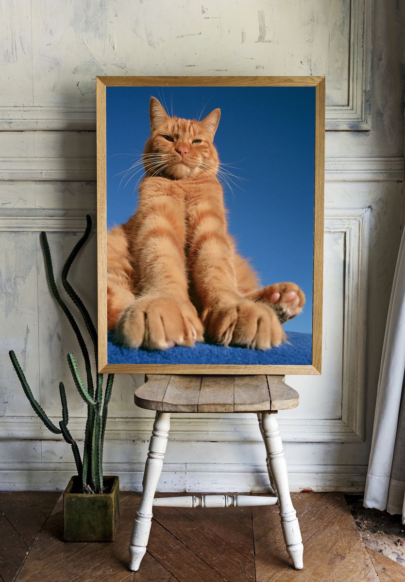 Orange Tabby Cat Portrait Poster. room preview