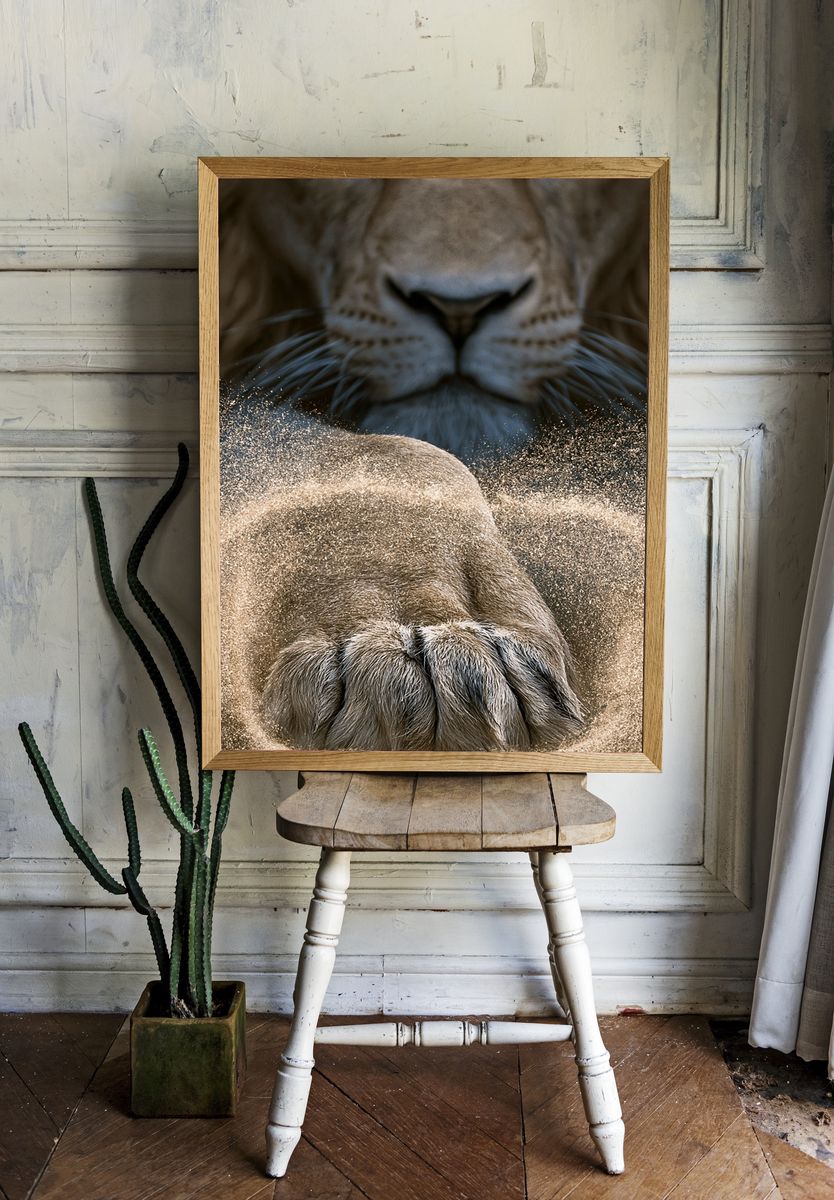 Lion Paw Close-Up Photography Poster. room preview