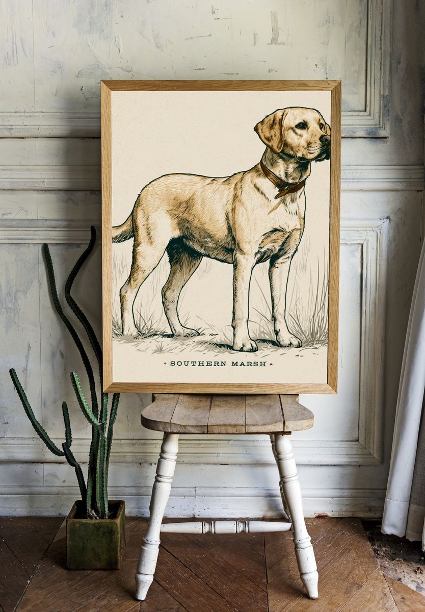 Southern Marsh Labrador Illustration Poster. — room view 1
