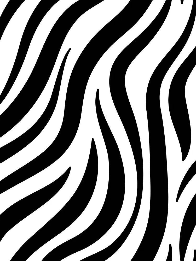 Black white zebra print pattern. poster — animals art
