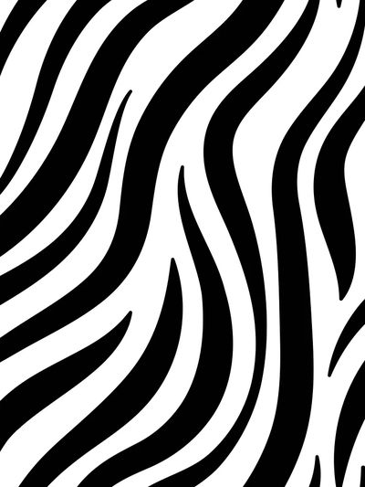 Black white zebra print pattern.