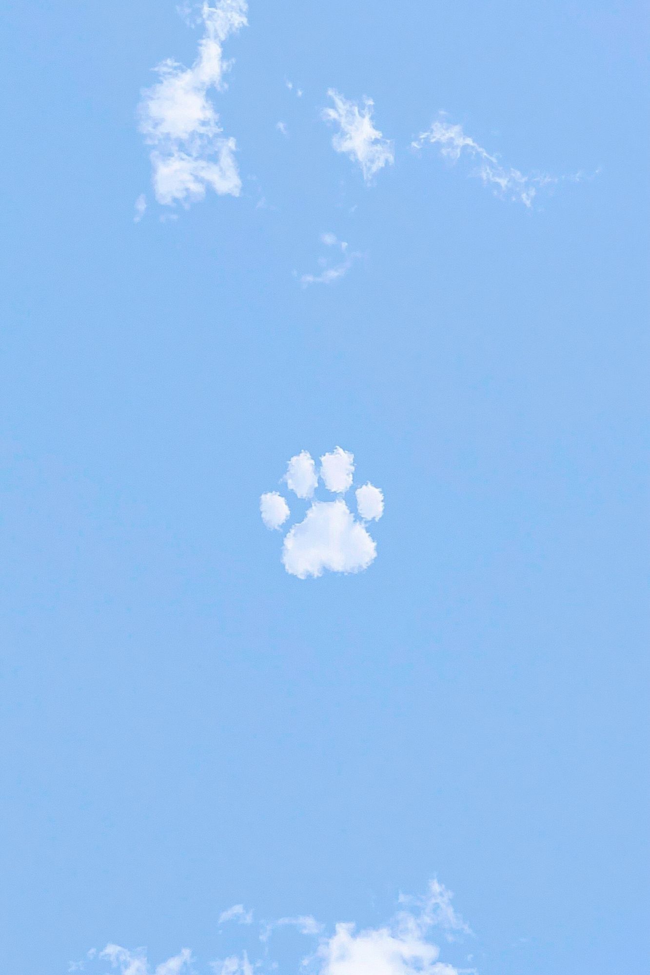 Cloud Paw Print Sky Poster. poster — animals art