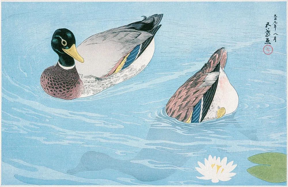Ducks (1920) print high resolution. poster — animals art