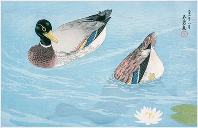 Ducks (1920) print high resolution. poster
