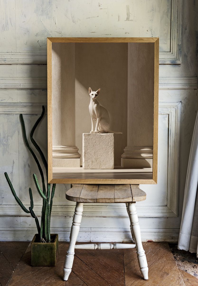 Sphynx Cat in Classical Interior Poster. room preview