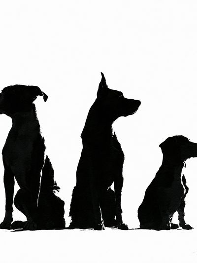Three Dogs Silhouette Poster. poster