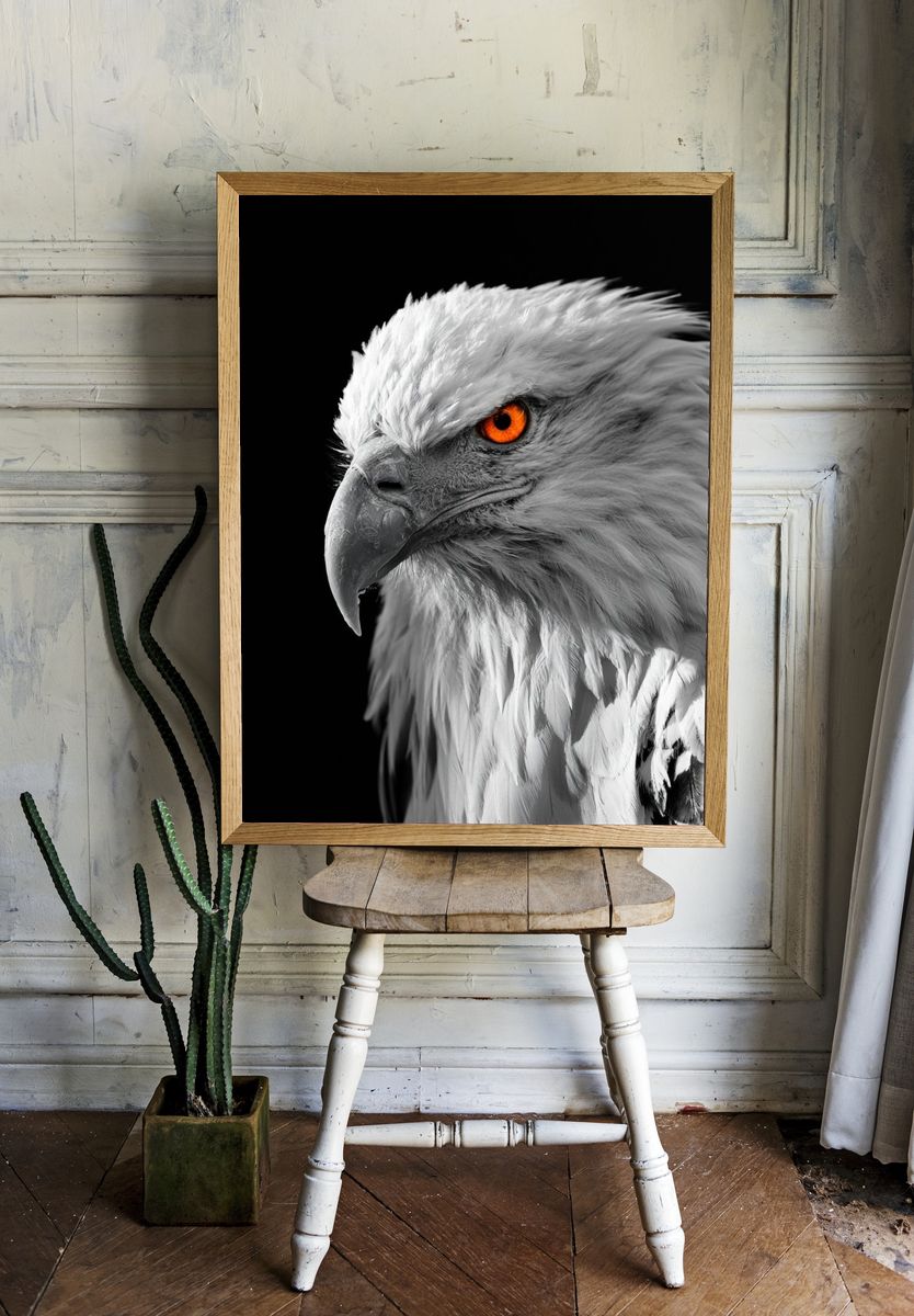 White Eagle Portrait Poster. — room view 1