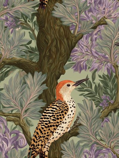 Woodpecker Botanical Print. poster print
