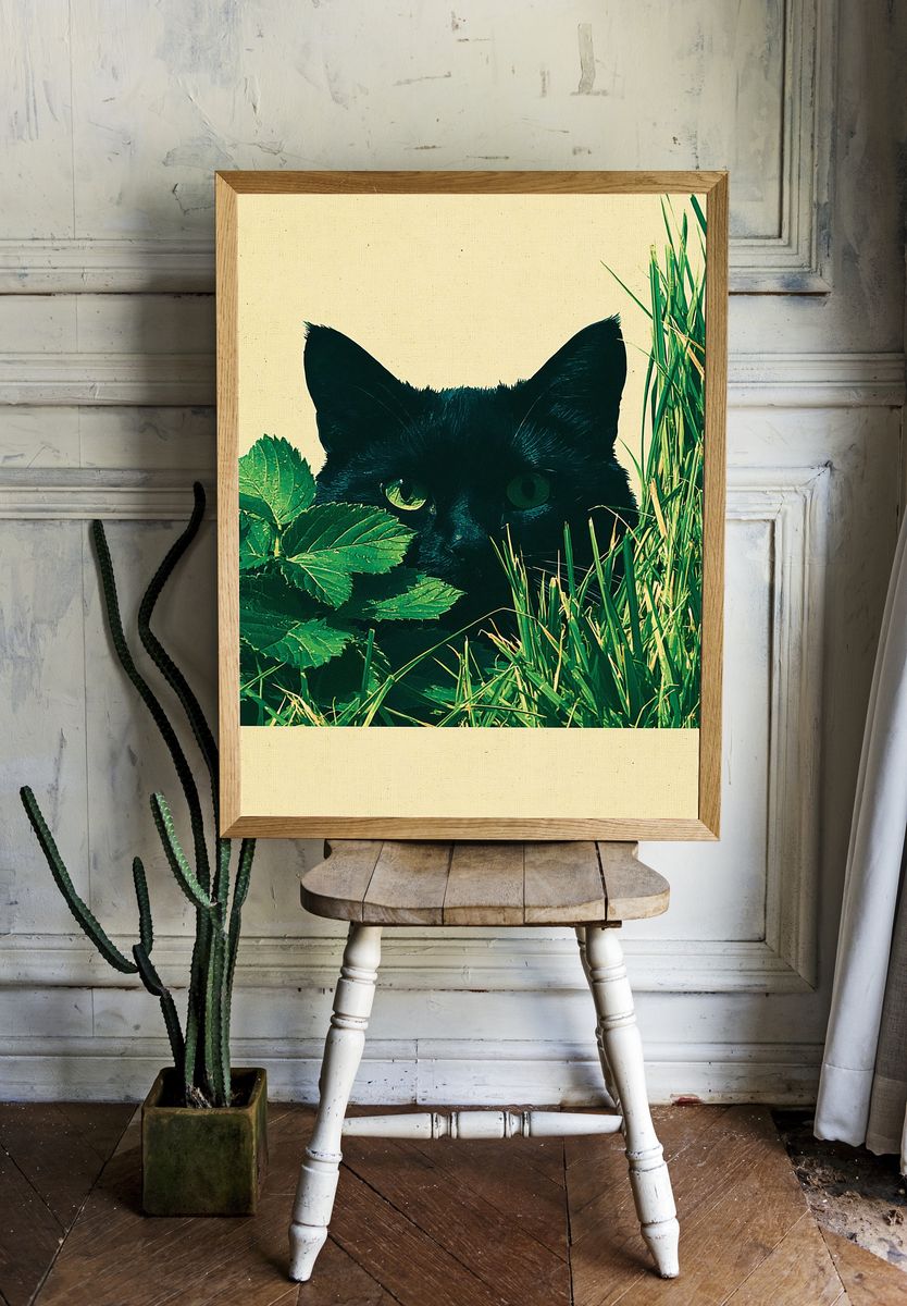 Black Cat in Grass Poster. — room view 1