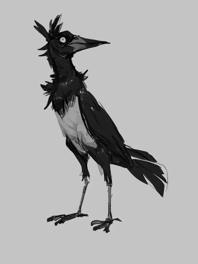 Black Crow Ink Illustration Poster.