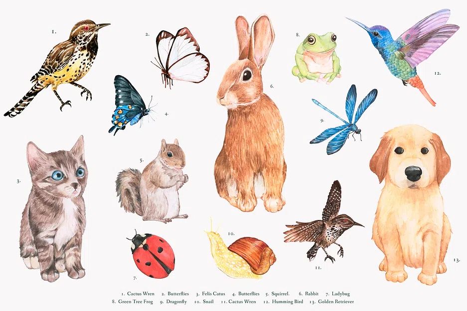 Hand drawn animal set. poster — animals art