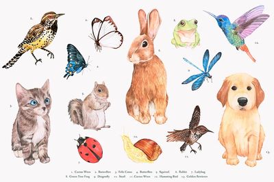 Hand drawn animal set.