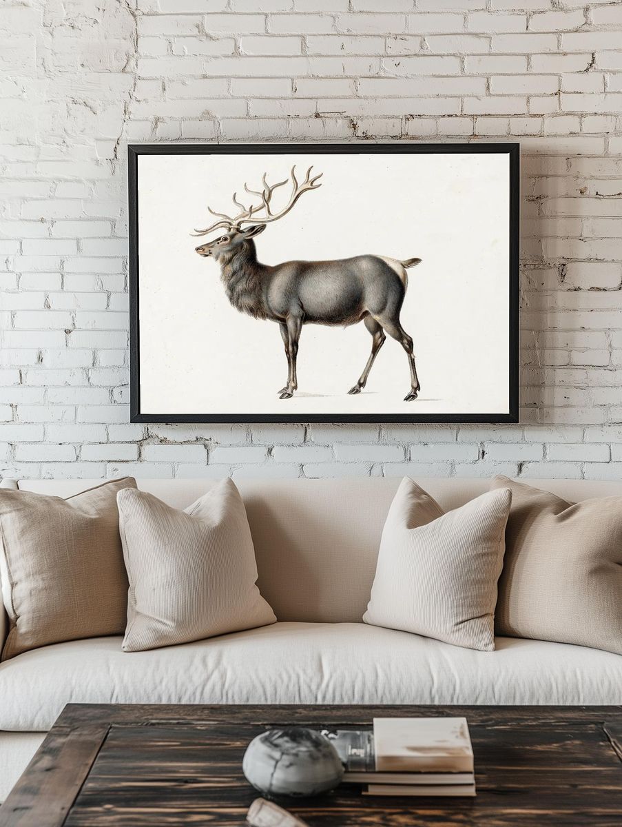 European Elk Peter Rindisbacher. Original. — room view 1