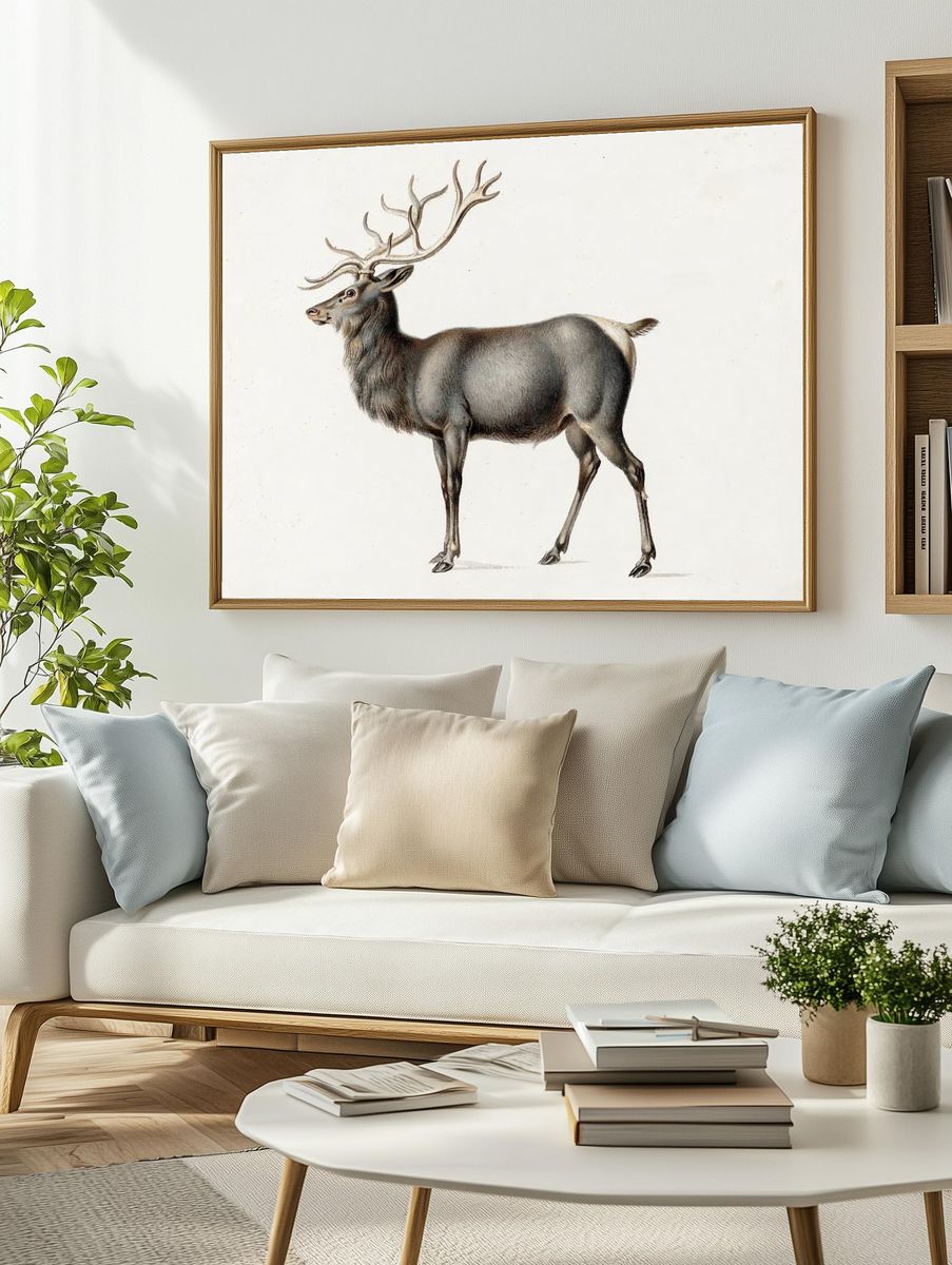 European Elk Peter Rindisbacher. Original. — room view 2