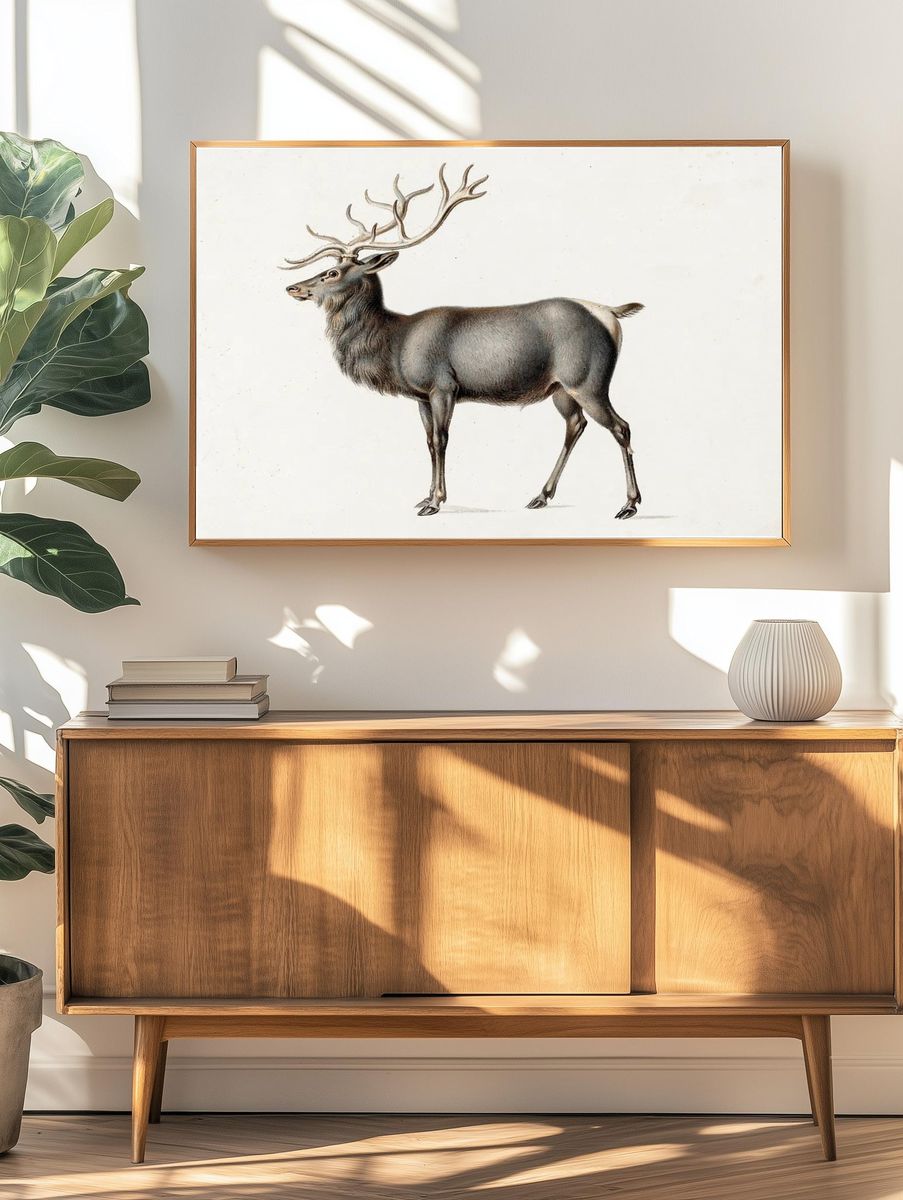 European Elk Peter Rindisbacher. Original. — room view 3