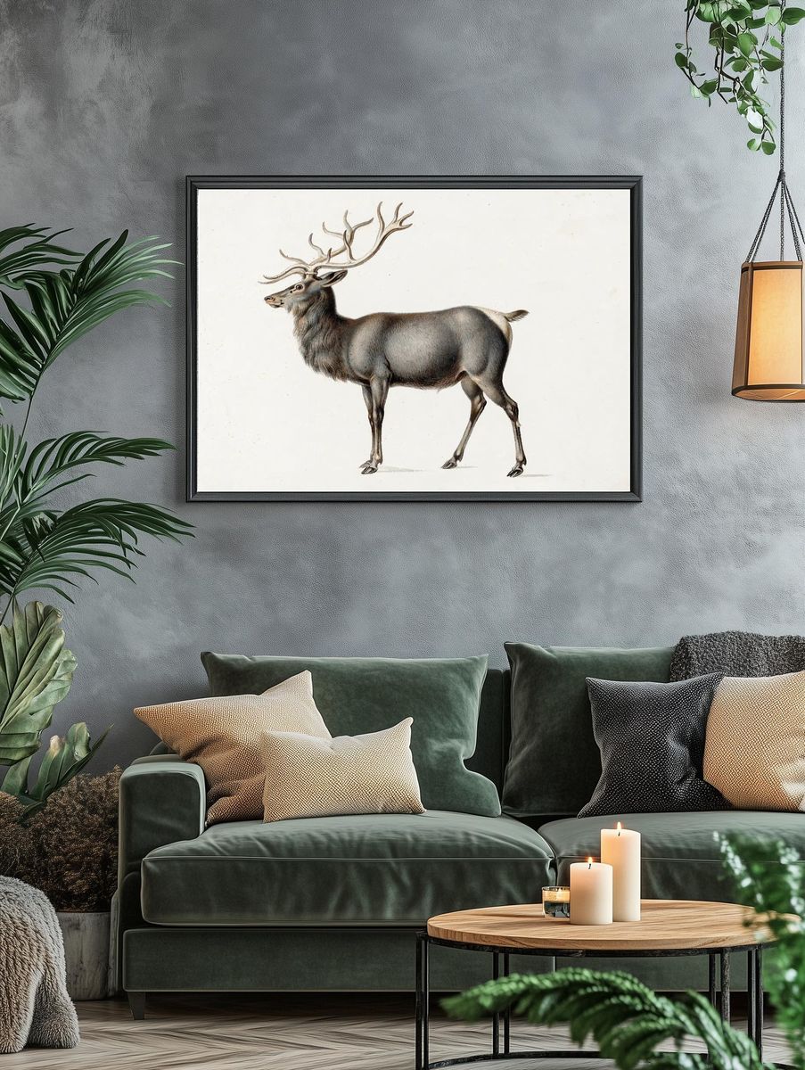 European Elk Peter Rindisbacher. Original. — room view 4