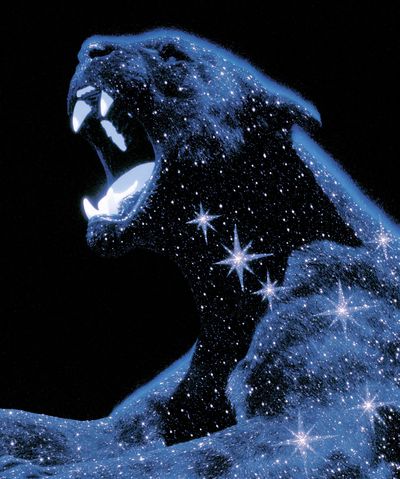Cosmic Bear Illustration Poster.