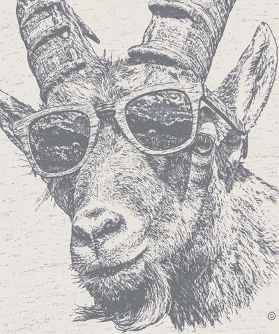 Cool Deer Portrait Print.