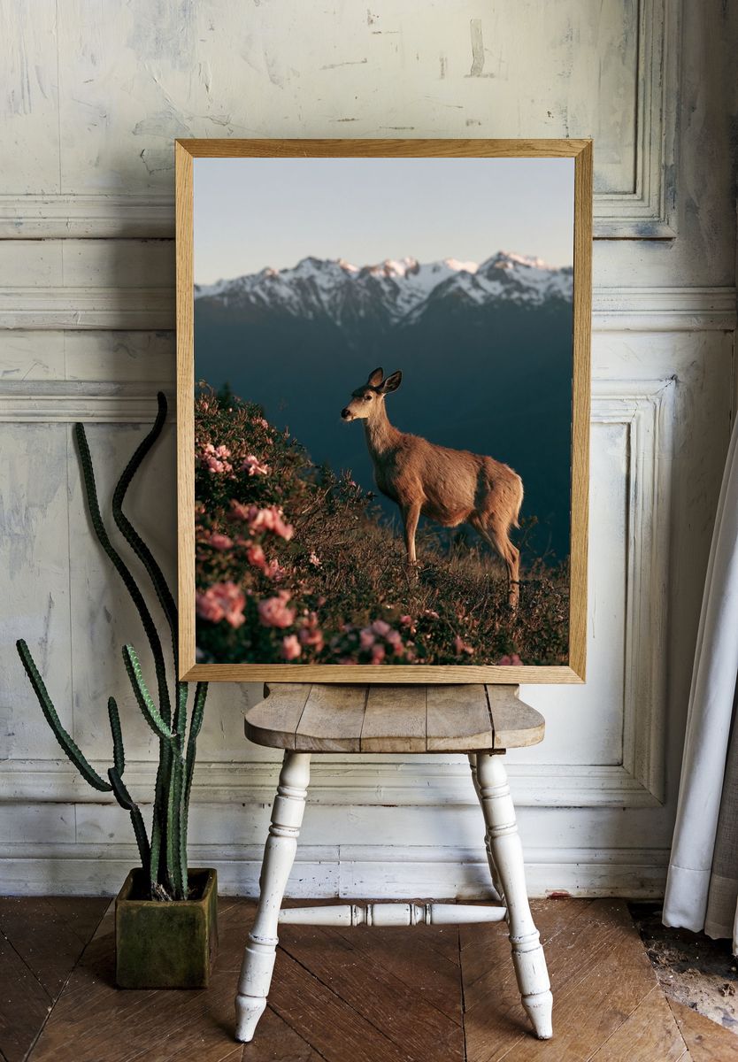Deer at Alpine Dawn Poster. — room view 1
