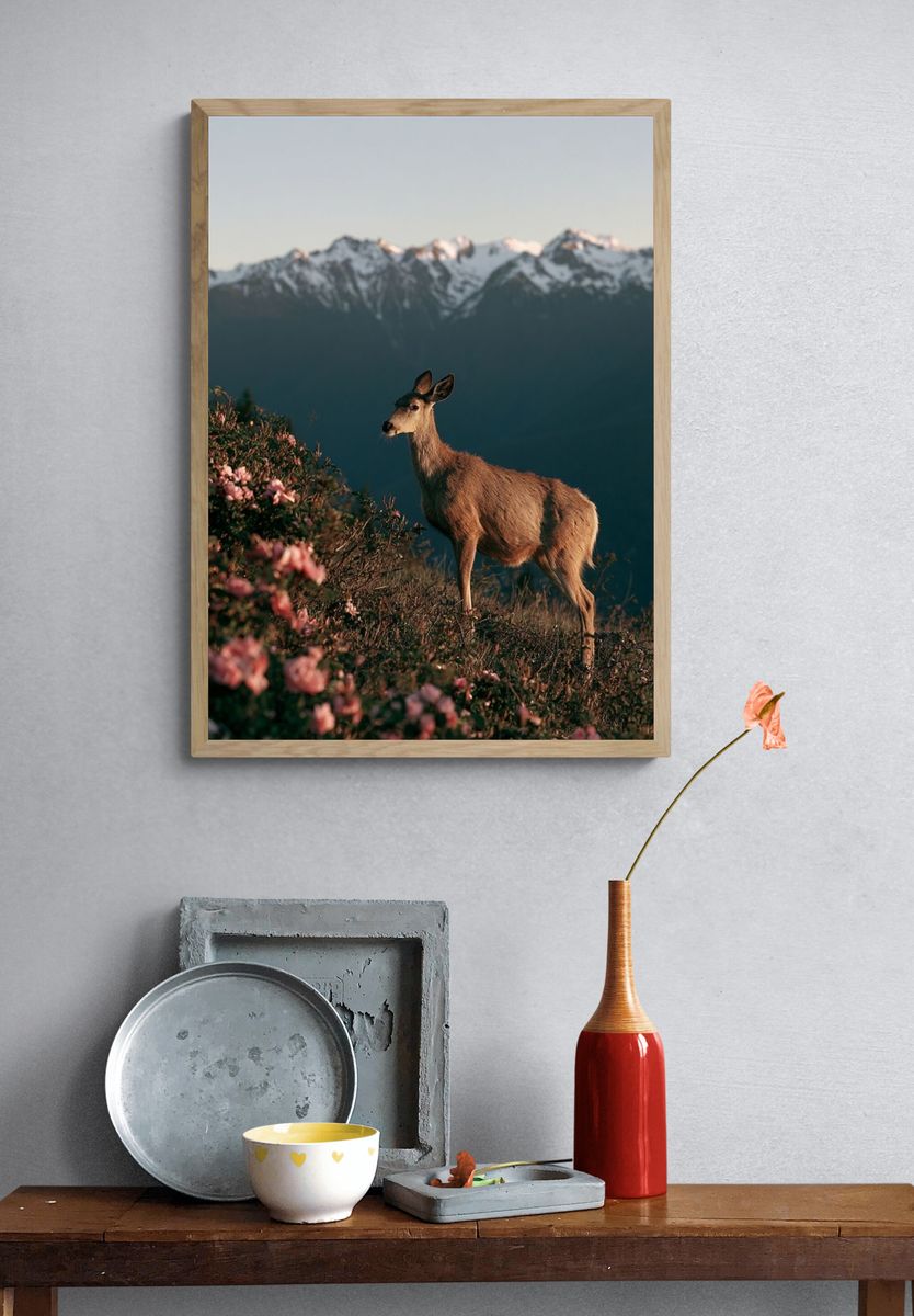 Deer at Alpine Dawn Poster. — room view 3