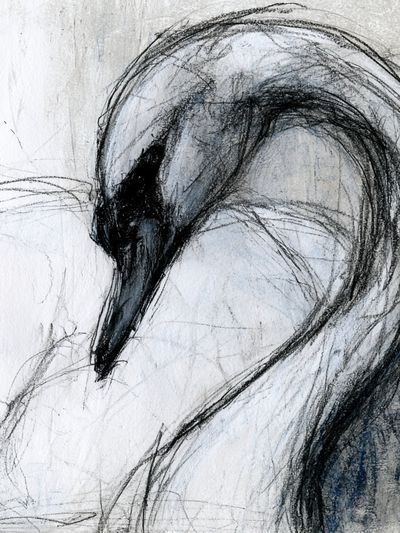 Abstract Swan Sketch Poster.