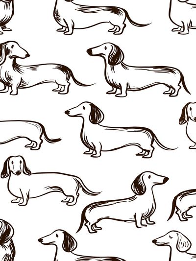 Dachshund Pattern Illustration Poster.