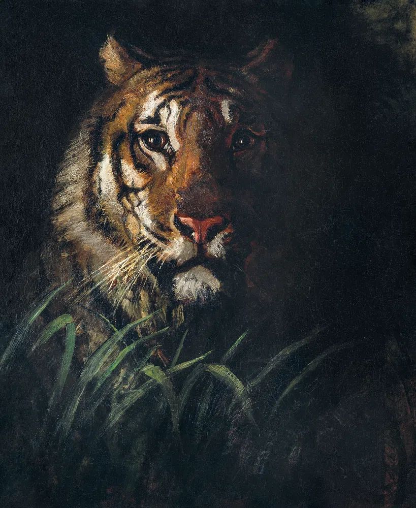 Tiger's Head painting high resolution. poster — animals art