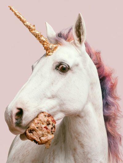 Unicorn Cookie Portrait Poster.
