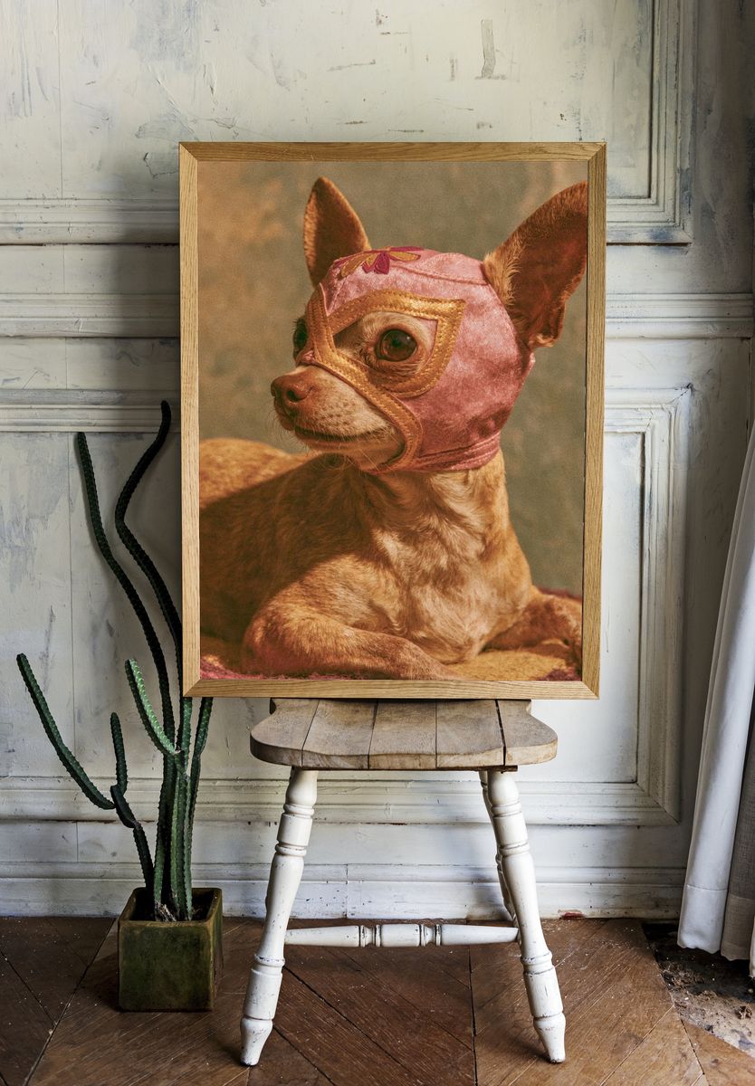 Masked Chihuahua Portrait Print. — room view 1