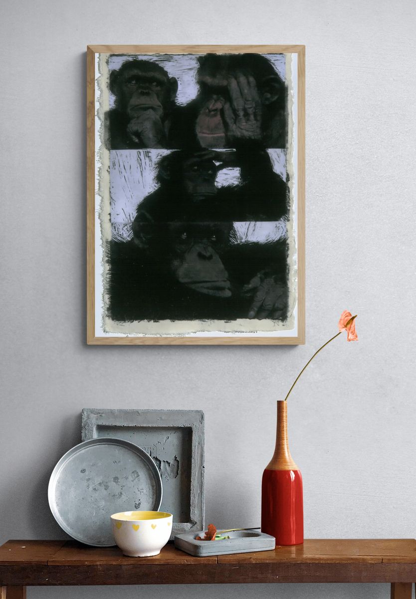 Chimpanzee Portrait Black-White Print. — room view 3