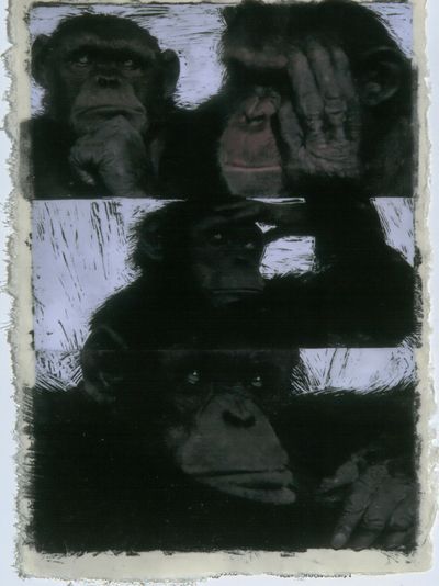 Chimpanzee Portrait Black-White Print.