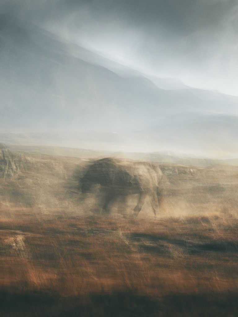 Misty Elephant Landscape Print. poster detail