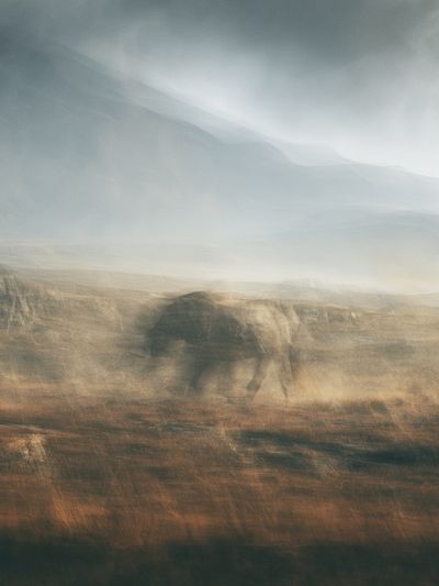 Misty Elephant Landscape Print. poster