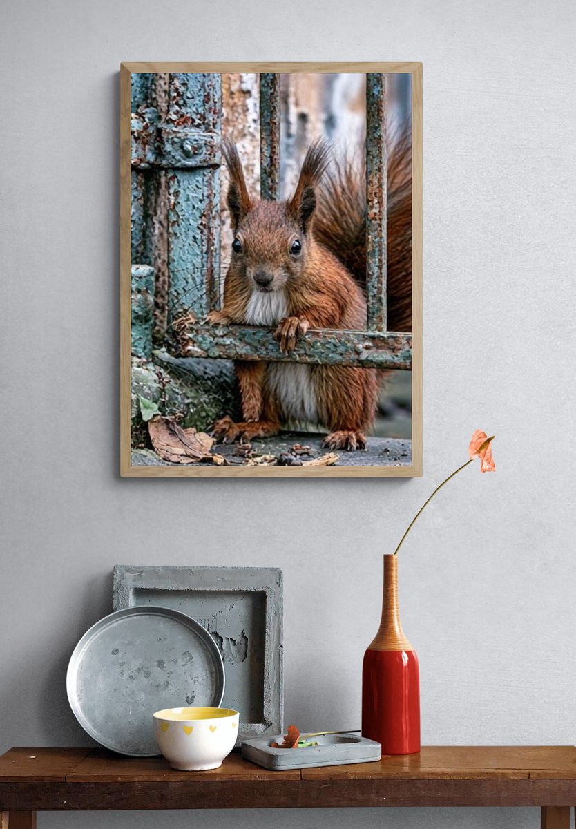 Curious Squirrel Portrait Poster. — room view 3