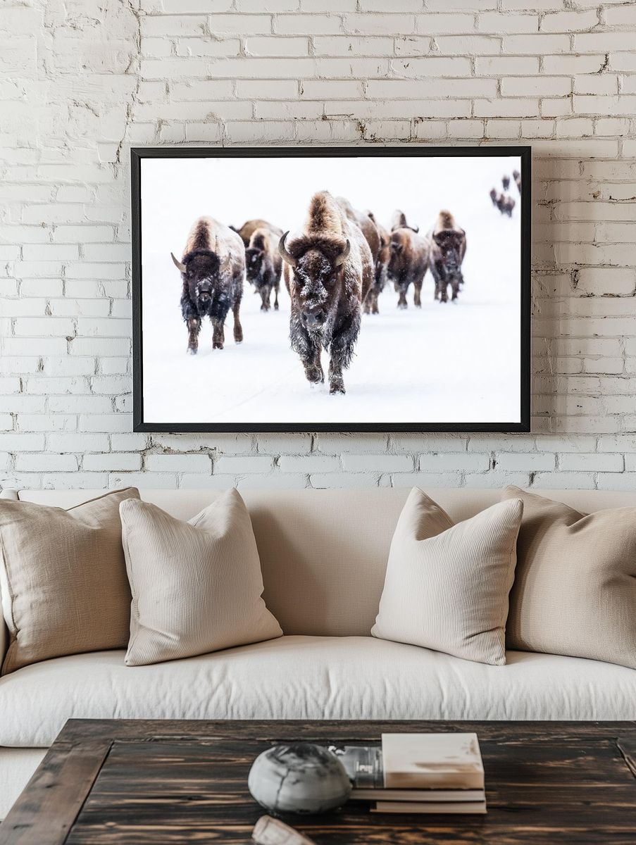 Bison group road Frying Pan. room preview