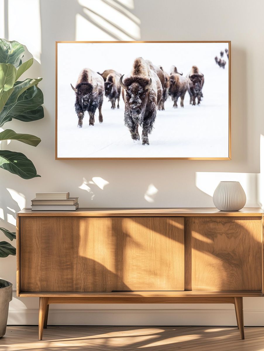 Bison group road Frying Pan. — room view 3